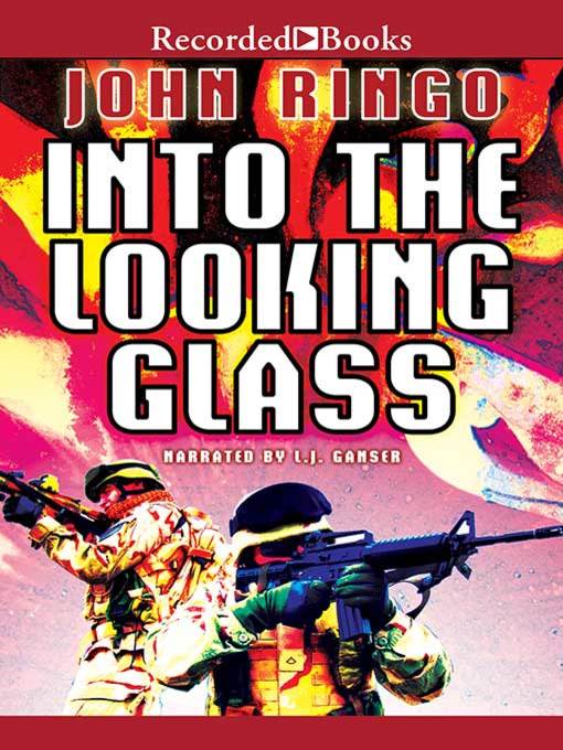 Cover image for Into the Looking Glass
